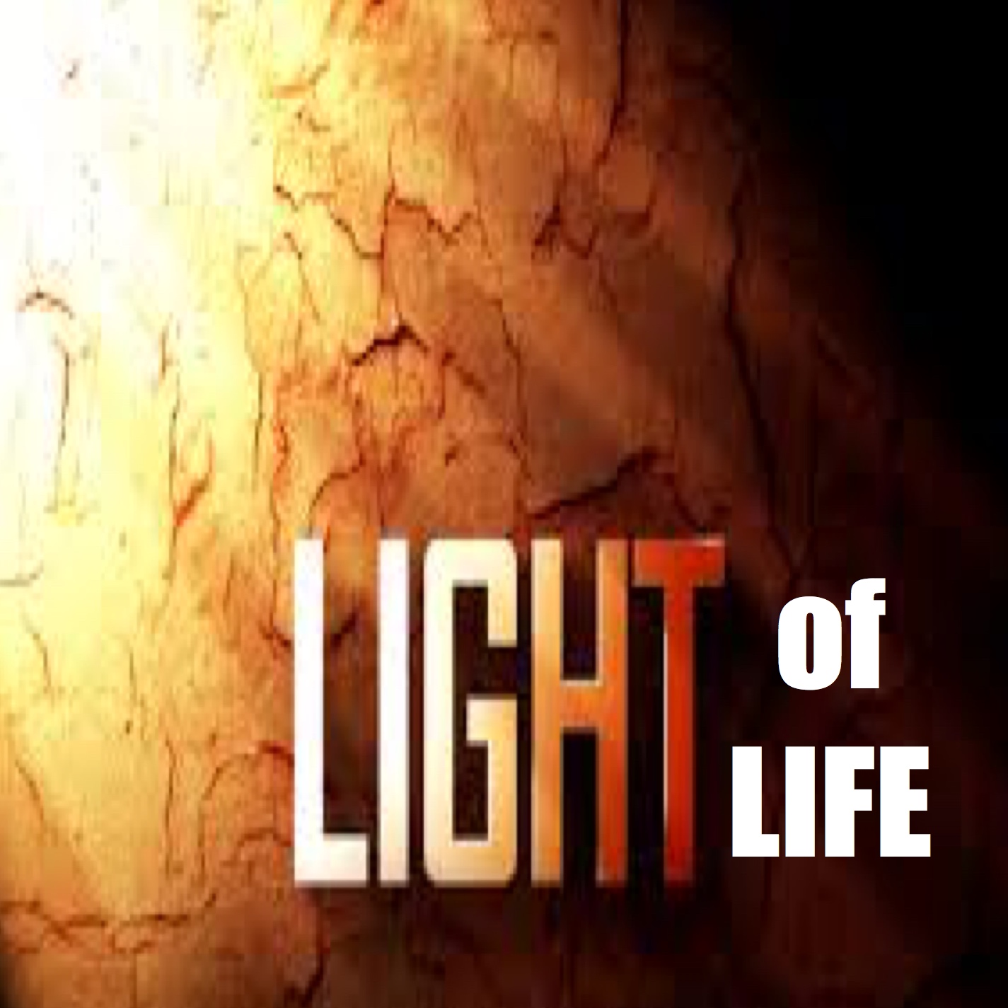 The Light of Life - Logos Sermons