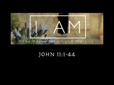 "The Resurrection and the Life" (John 11:1-44)