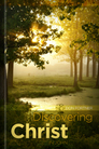 Discovering Christ in John (2 vols.) Discovering Christ in John (2 vols.)