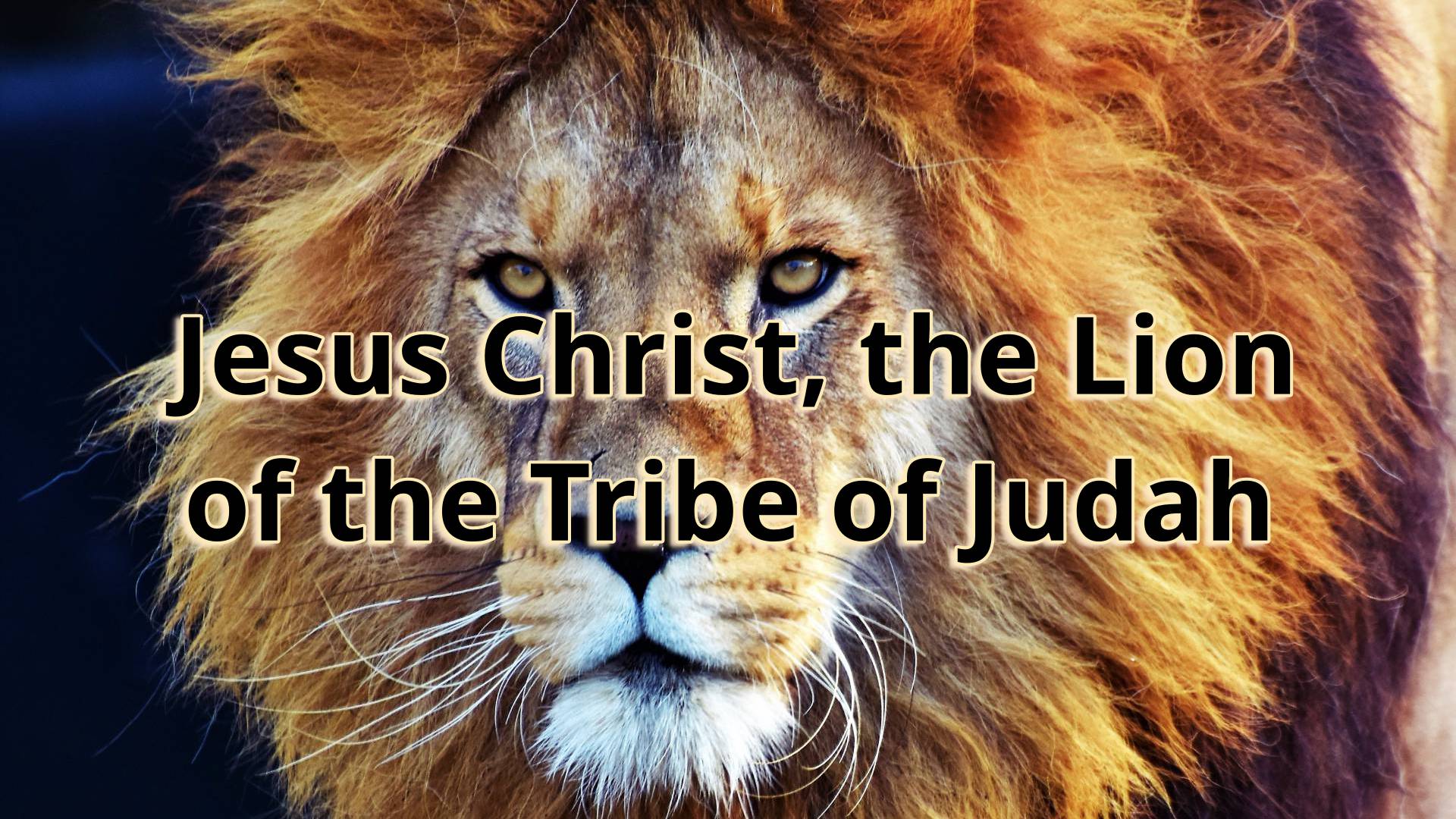 lion of judah jesus christ