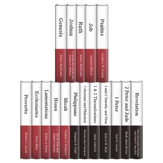 Two Horizons Commentary (17 vols.)